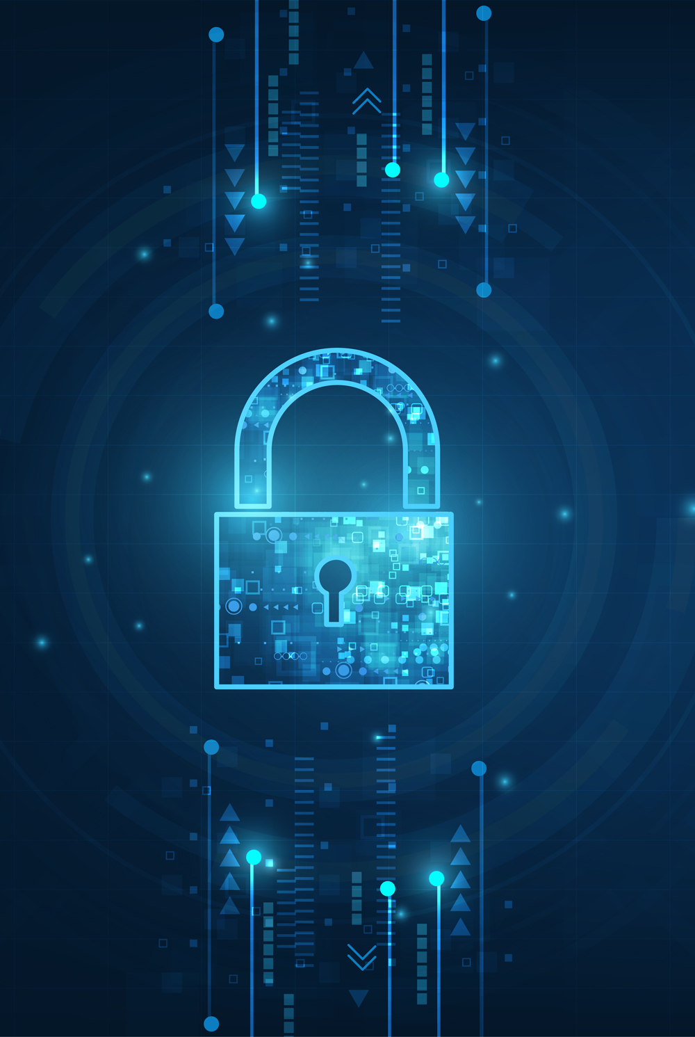  information security audit 